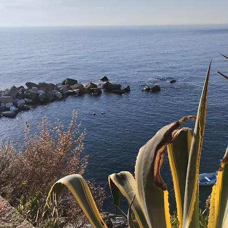 Buddy La Tua Base Per Visitare Il Mare Delle Cinque Terre アパート ラ・スペツィア
