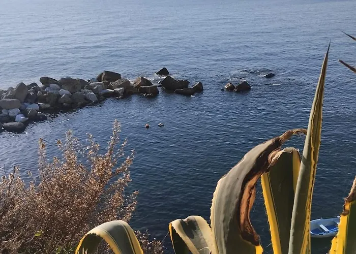 Casa Vacanze Buddy La Tua Base Per Visitare Il Mare Delle Cinque Terre アパート ラ・スペツィア